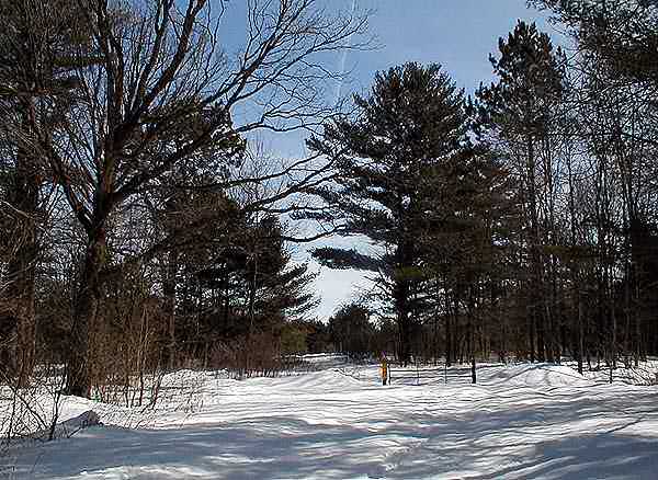 Winter scene looking east at the old Anton Evenson site