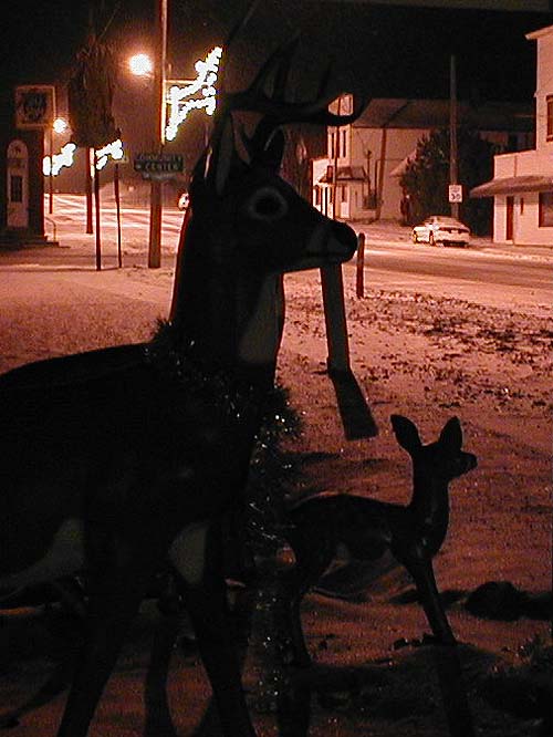 Deer Park's deer on December 23, 2001.